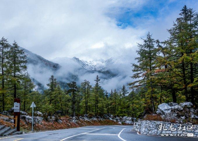 比亚迪股份发盈喜 预计2023年度归母净利润290亿到310亿元