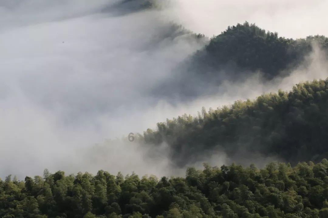 救援工程师