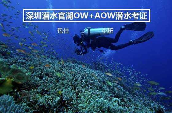 气球大混战